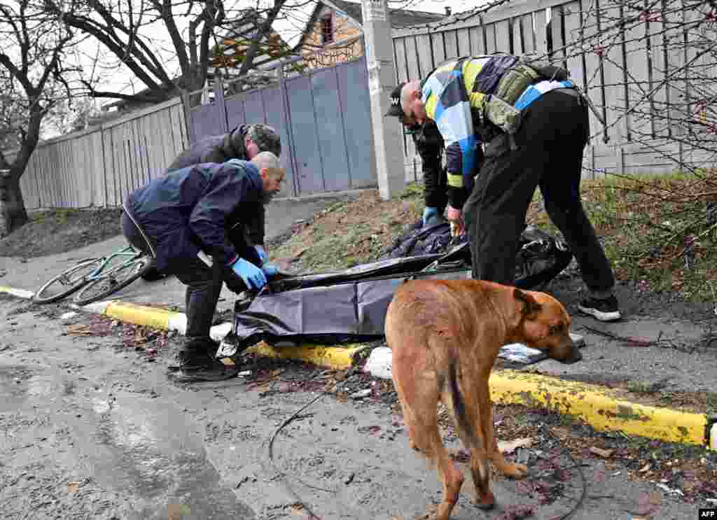 El perro junto a su dueño asesinado tras la retirada de las tropas rusas de la ciudad ucraniana de Bucha.