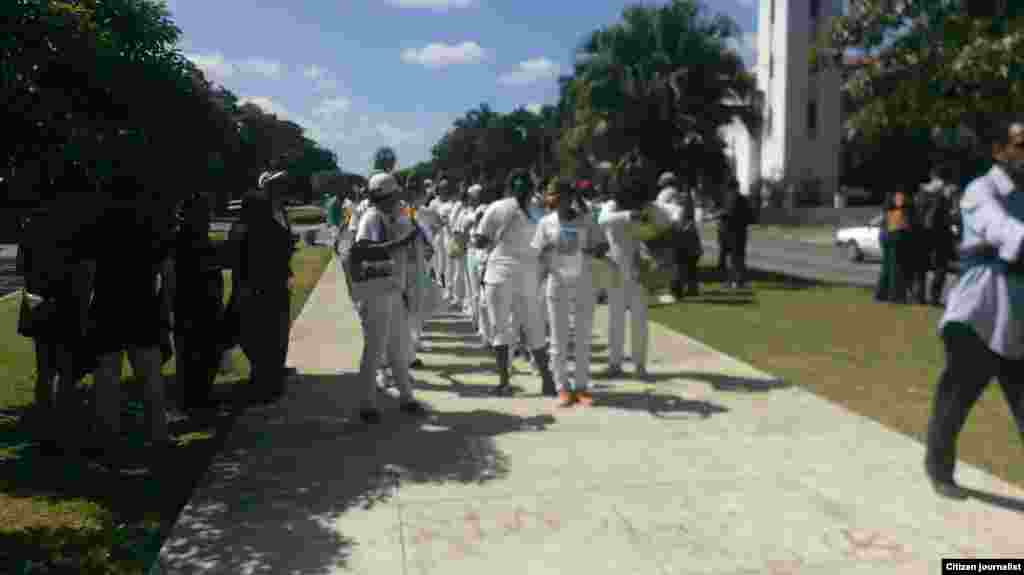  Damas de Blanco marchan por 5ta Avenida