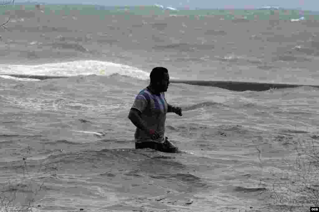 Afectaciones de Irma en La Habana. Foto Elio Delgado.