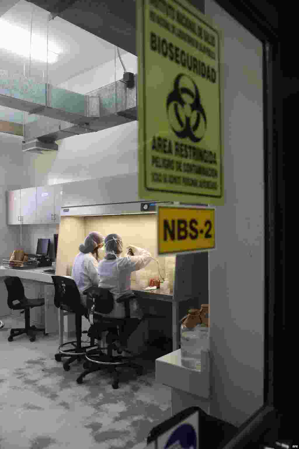 Una pareja de médicos del laboratorio de Metaxénicas virales del Ministerio de Salud de Perú trabaja con muestras para verificar las infecciones por dengue o fiebre amarilla.