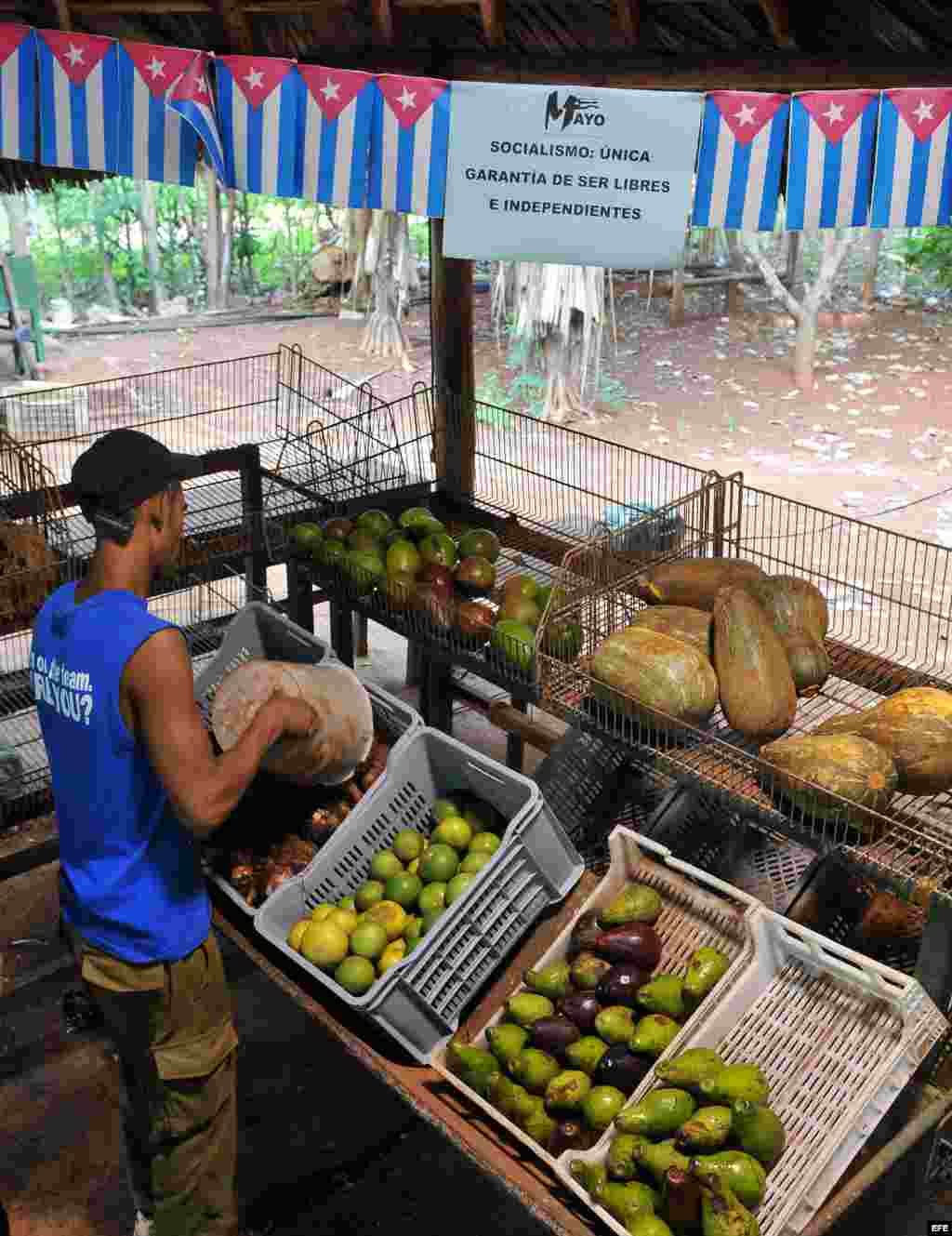 La producción de hortalizas fue de 7,800 miles de toneladas menos, los decrecimientos se localizan en tomate,cebolla, ajo, melón y col.