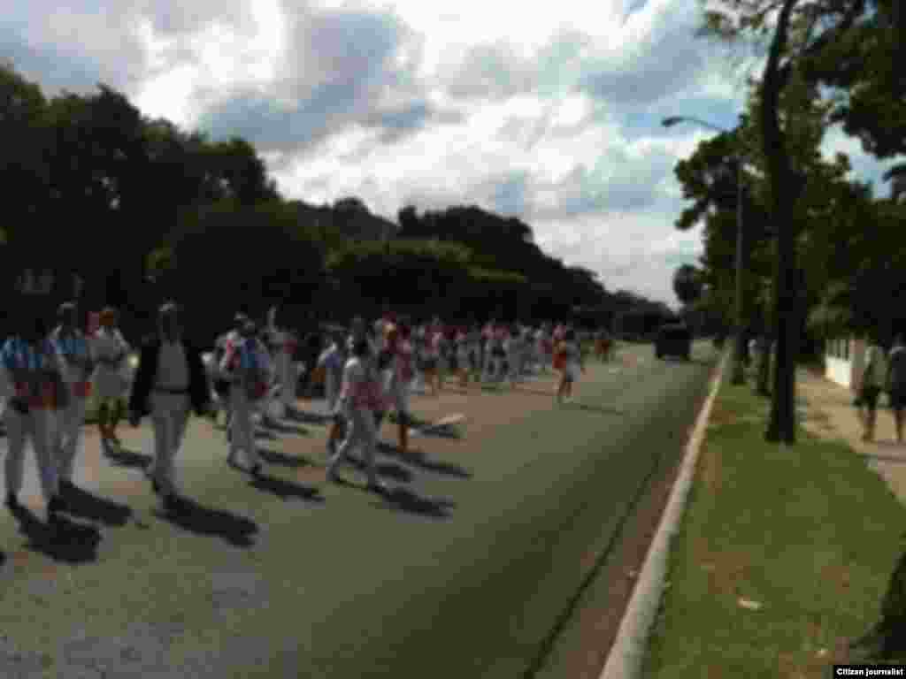  Damas de Blanco marchan por 5ta Avenida